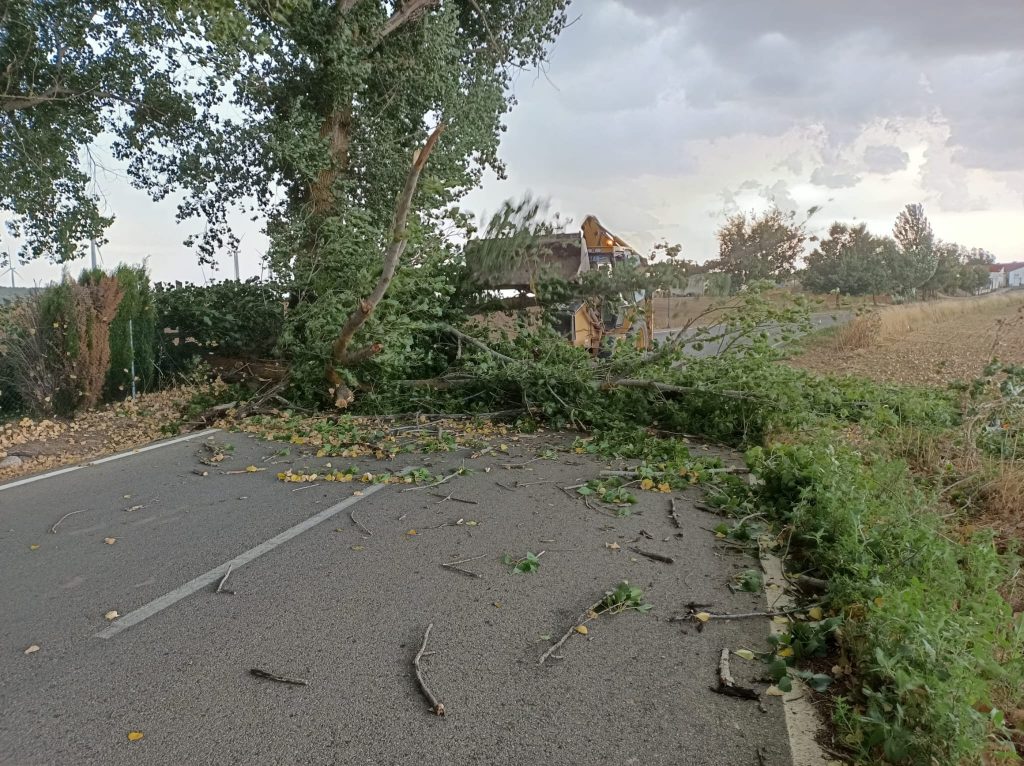 Consecuencias de las lluvias