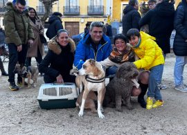 Participativa y familiar celebración de San Antón en la ciudad de Cuenca